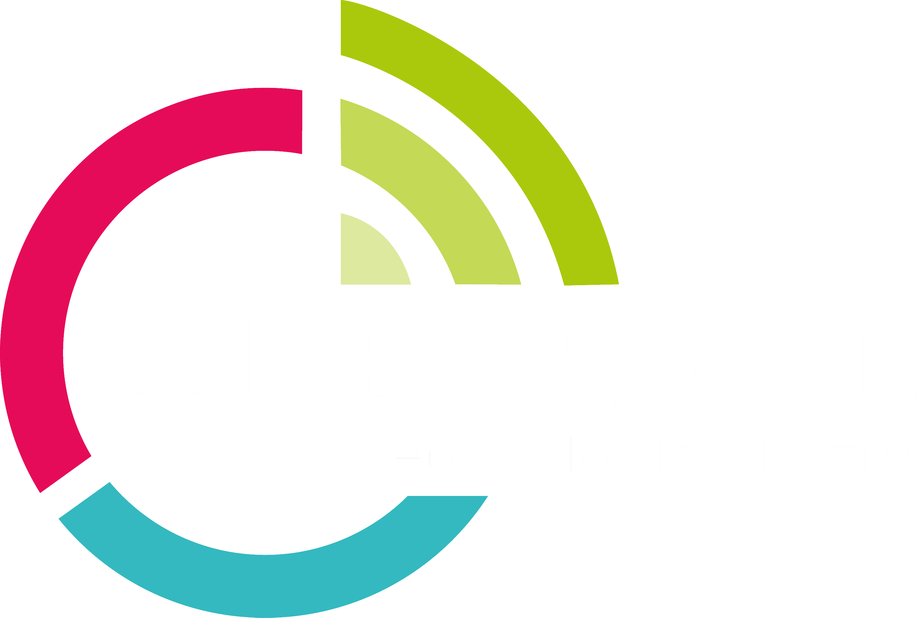 Logo WebSenso